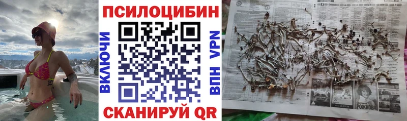 Галлюциногенные грибы мухоморы  Купить закладки  Шали 